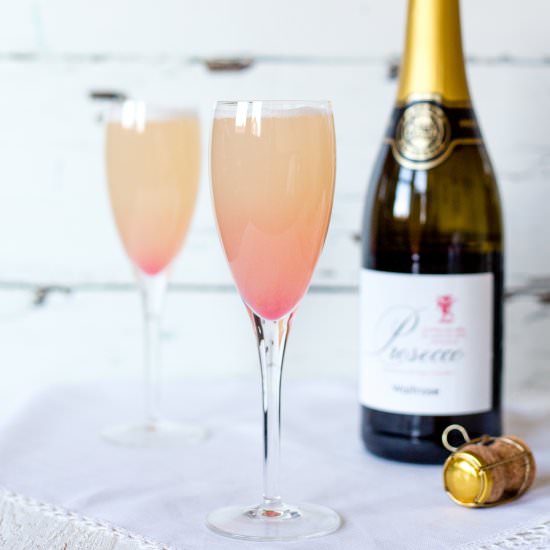 Rhubarb & Orange Prosecco Cocktail - Recipe photo by Fuss Free Flavours