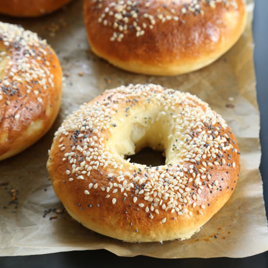 Easy, No Rise, Gluten Free Bagels - Recipe photo by gfshoestring