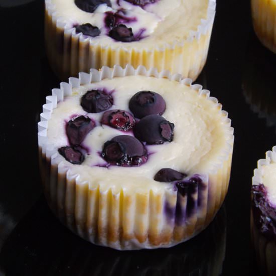 Lemon Blueberry Cheesecake Cupcakes - Recipe photo by BakingSecrets
