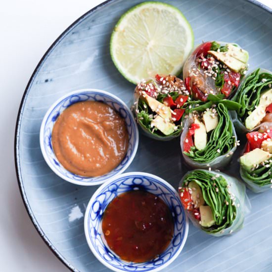 Fresh Springs Rolls - Recipe photo by Stinnagm