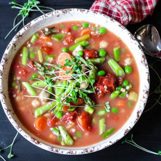 Slow Cooker Vegetable Minestrone - Recipe photo by kitchenofyouth