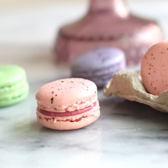 Robin's Egg Macarons - Recipe photo by theseasidebaker