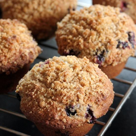 Whole-Wheat Blueberry Muffins - Recipe photo by cullys kitchen