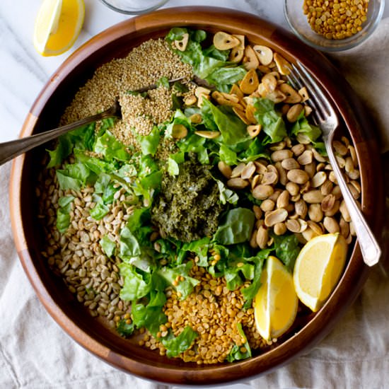 Burmese Tea Leaf Salad - Recipe photo by TheGourmetGourmand