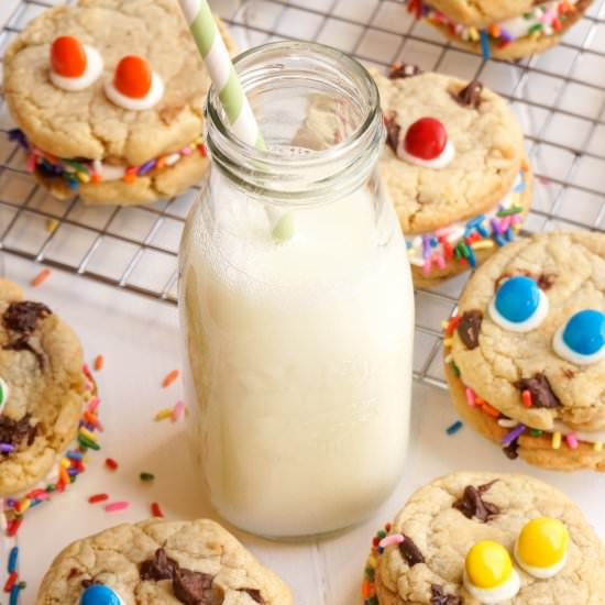 Monster Cookie Sandwiches - Recipe photo by thedessertchronicles