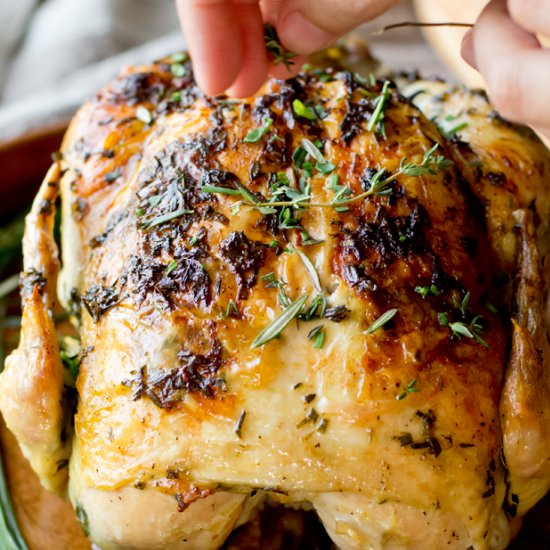 Garlic Herb Butter Roasted Chicken - Recipe photo by TheGourmetGourmand