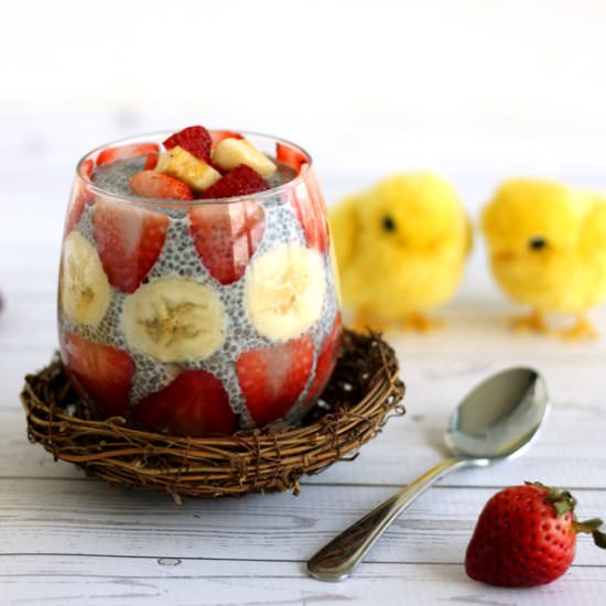 Strawberry Banana Chia Pudding - Recipe photo by JesseLWellness