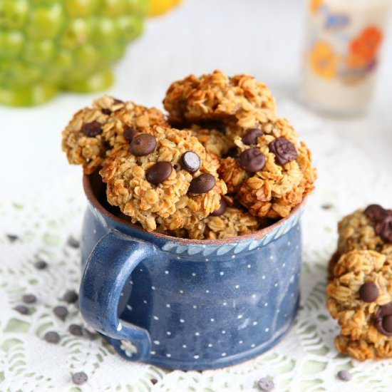 Oatmeal Coconut Breakfast Cookies - Recipe photo by angiesrecipes