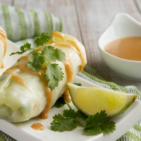 Low-Carb Spring Rolls - Recipe photo by HealthfulPursuit