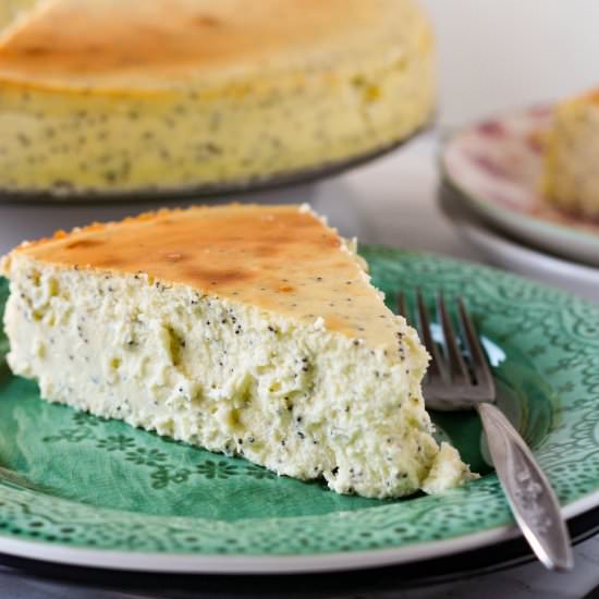 Lemon Poppyseed No Crust Cheesecake - Recipe photo by blackberrybabe