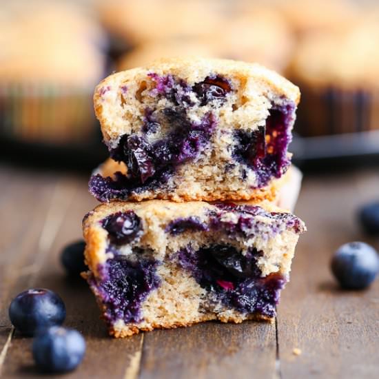 Vegan Blueberry Muffins - Recipe photo by bakerita