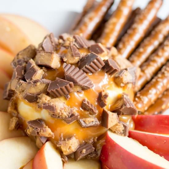 3 Ingredient Fruit Dip - Recipe photo by Cook. Craft. Love.