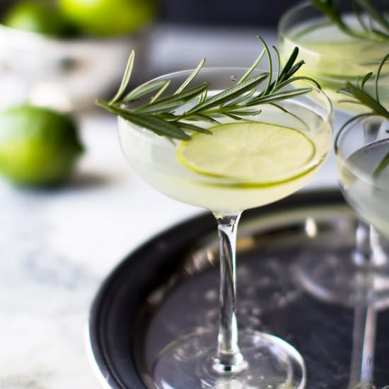 Rosemary Gimlet - Recipe photo by Stiers Aesthetic