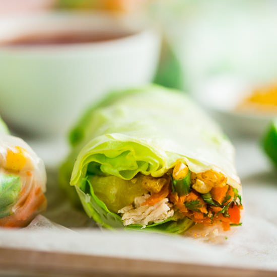 BBQ Chicken Summer Rolls - Recipe photo by foodfaithfitness