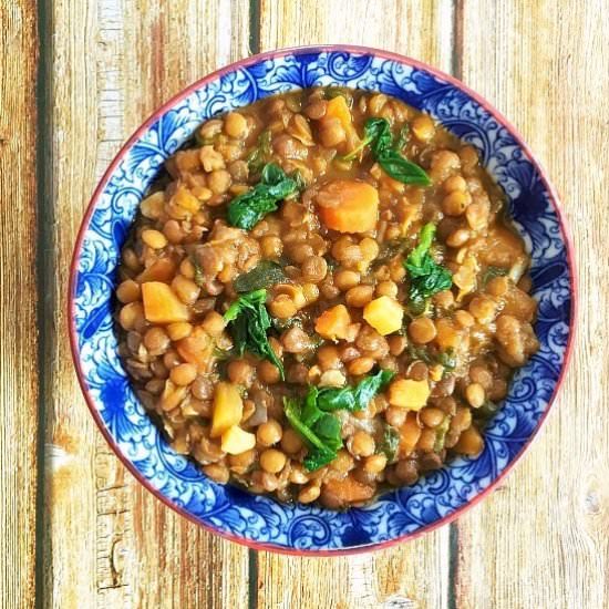 Hearty Brown Lentil Soup - Recipe photo by mygorgeousrecipes