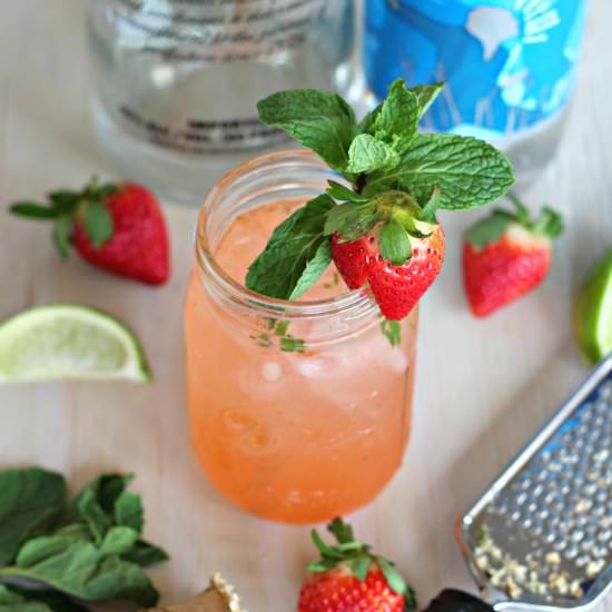 Strawberry Ginger Fizz - Recipe photo by Everyday Gourmet with Blakely