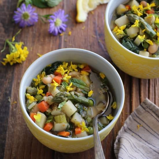 Spring Vegetable Soup - Recipe photo by Petit World Citizen