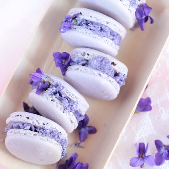 Violet Macarons - Recipe photo by every cake you bake