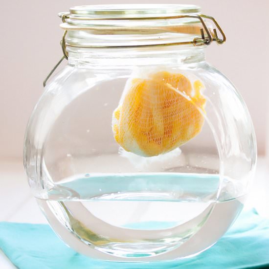 Homemade Limoncello Two Ways - Recipe photo by Cooks With Cocktails