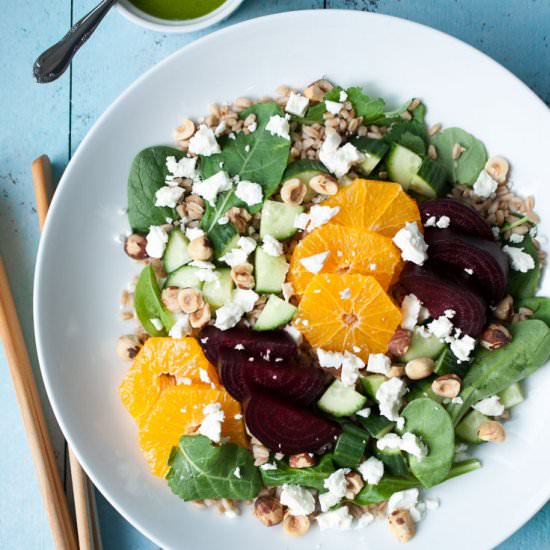 Farro, Roasted Beet, & Citrus Salad - Recipe photo by lifeisbutadish