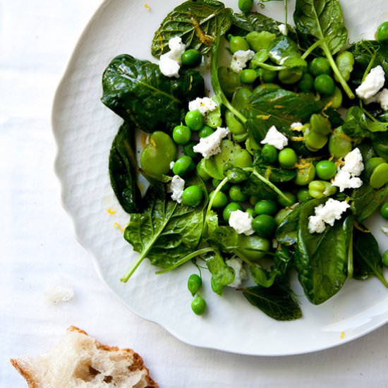Spring Salad - Recipe photo by shebets