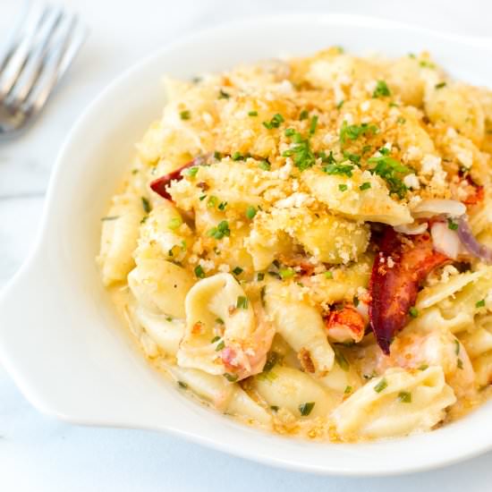 Lobster Mac and Cheese - Recipe photo by stripedspatula