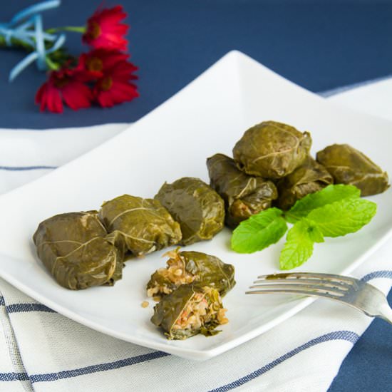 Stuffed Vine Leaves with Bulgur - Recipe photo by thehealthycook