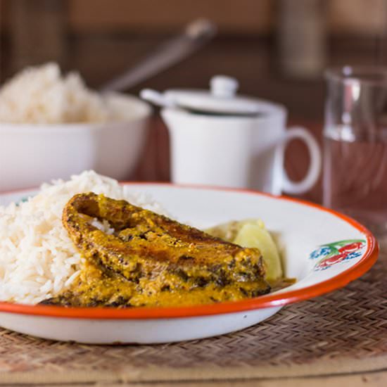 Bhetki Begum Bahar - Recipe photo by Chandrima Sarkar