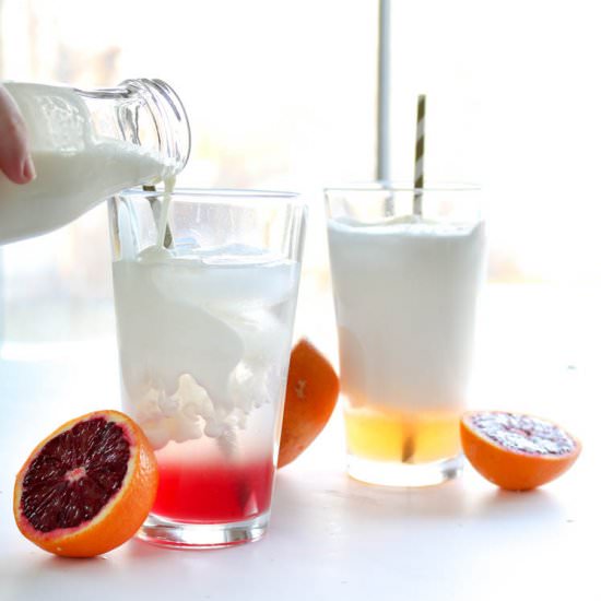 Citrus Italian Cream Sodas - Recipe photo by wrightfamilytable