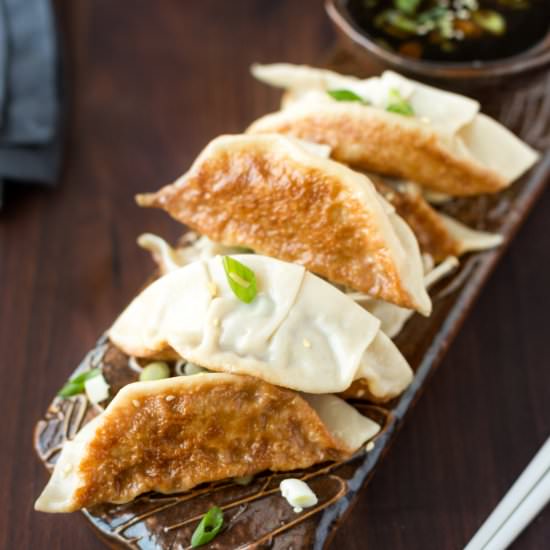 Chicken and Vegetable Potstickers - Recipe photo by stripedspatula