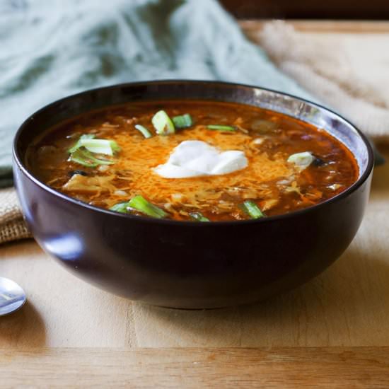 Slow Cooker Beef Fajita Soup - Recipe photo by partialingredients