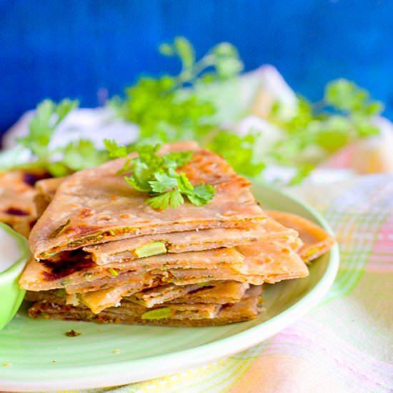 Coriander Paratha - Recipe photo by tomatoblues