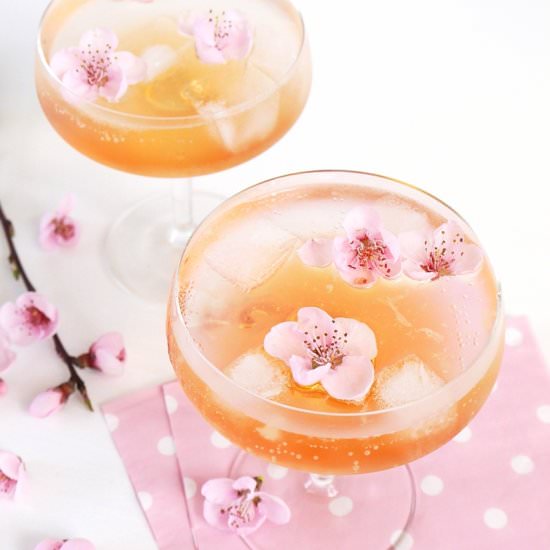 Spring Blossom Cocktail - Recipe photo by BirdsParty