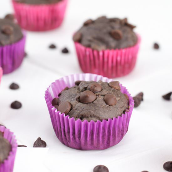 Double Chocolate Chip Muffins - Recipe photo by veggiebalance
