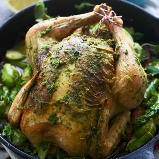 Roast Chicken with Pesto - Recipe photo by cookingforkeeps