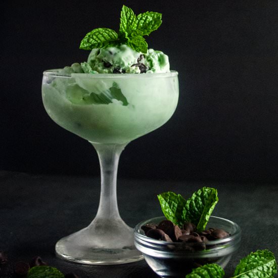 Mint Chocolate Chip Ice Cream - Recipe photo by cookiesforengland