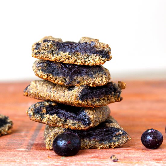 Blueberry Newtons - Recipe photo by beetsandberries