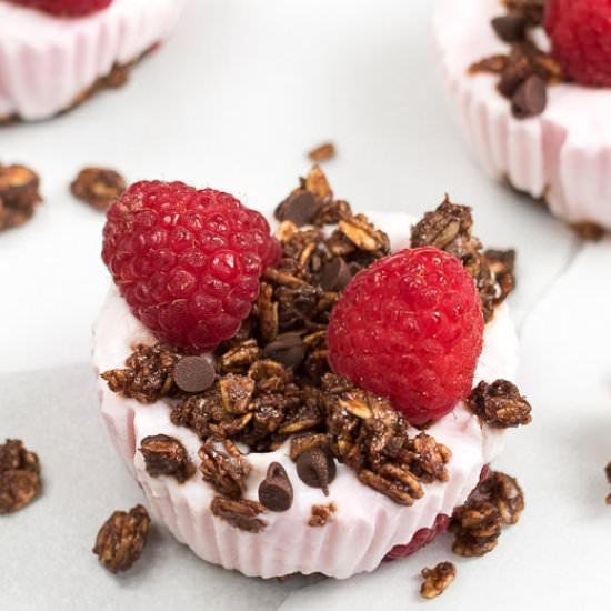 Chocolate Raspberry Frozen Yogurt Bites - Recipe photo by nutritiouseats