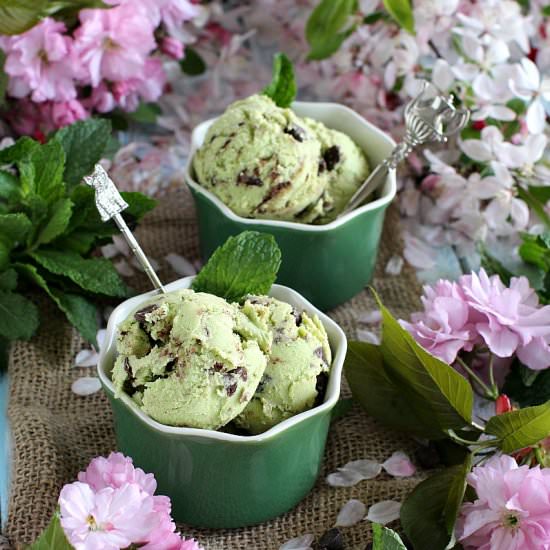 Mint Chocolate Avocado Ice Cream - Recipe photo by peasandpeonies