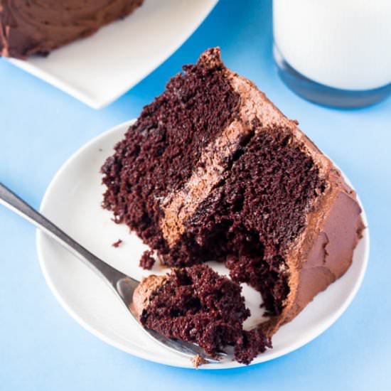 Double Chocolate Layer Cake - Recipe photo by JustSoTasty