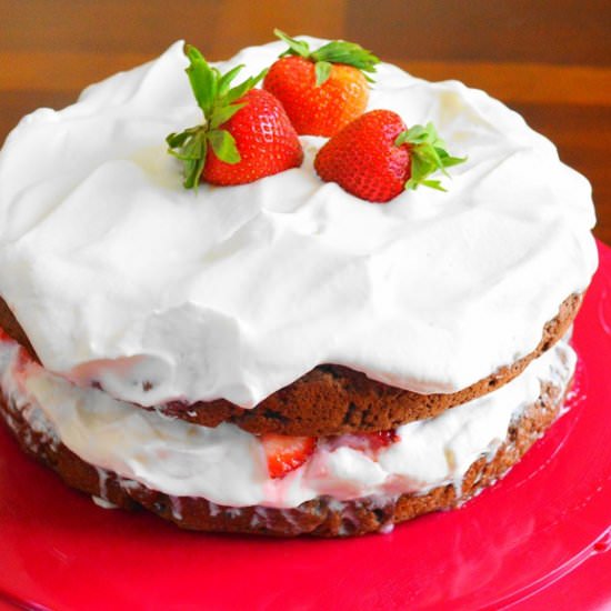 Chocolate Strawberry Shortcake - Recipe photo by jeanieandluluskitchen