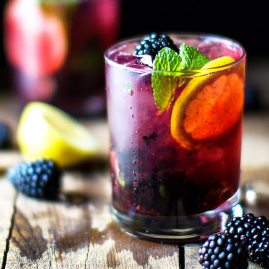 Blackberry and Lemon Gin & Tonic - Recipe photo by Stiers Aesthetic