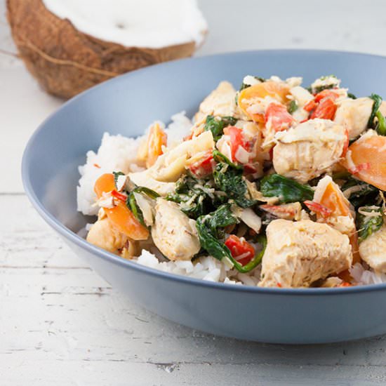 Creamy Coconut Chicken and Rice - Recipe photo by ohmydish