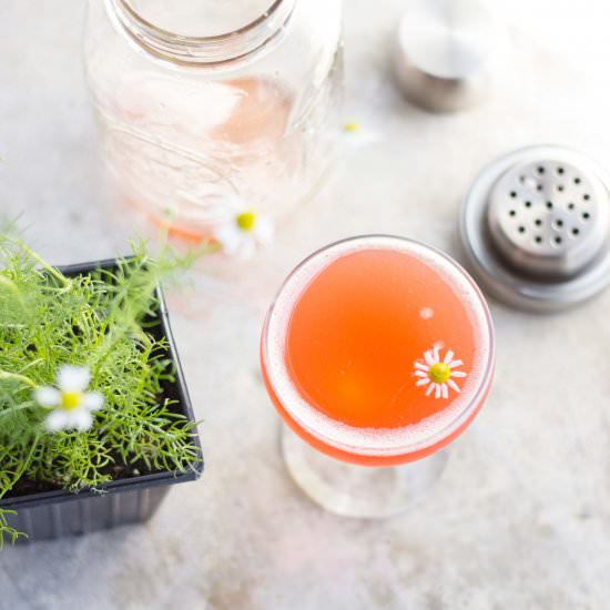 The Aperitivo Cocktail - Recipe photo by withfoodandlove
