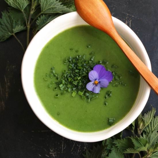 Spring Nettle Soup - Recipe photo by nirvanacakery