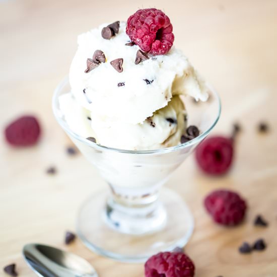 Homemade Frozen Yogurt - Recipe photo by BusyCreatingMemories