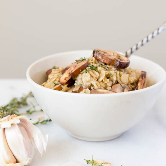 Toasty Truffle Oatmeal - Recipe photo by fooduzzi