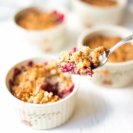 Rhubarb Berry Crumble - Recipe photo by Wholesome Patisserie