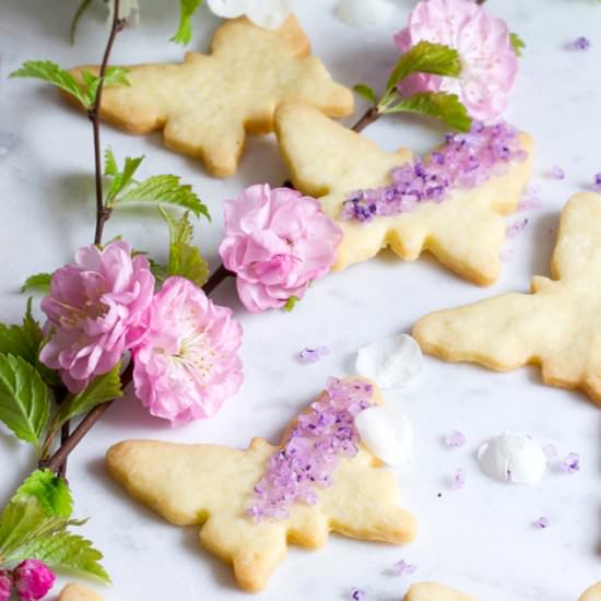 Sugar Cookies - Recipe photo by every cake you bake