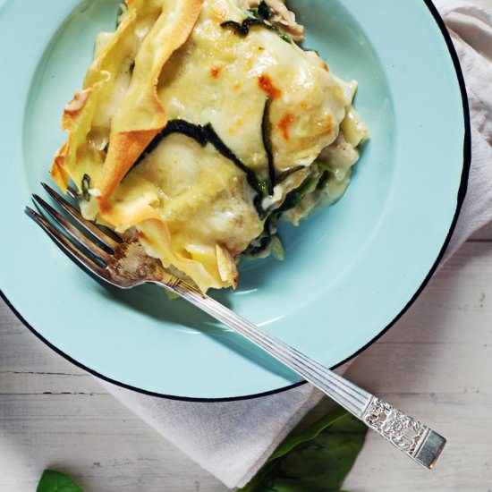 White Shredded Chicken Lasagna - Recipe photo by thecharmingdetroiter